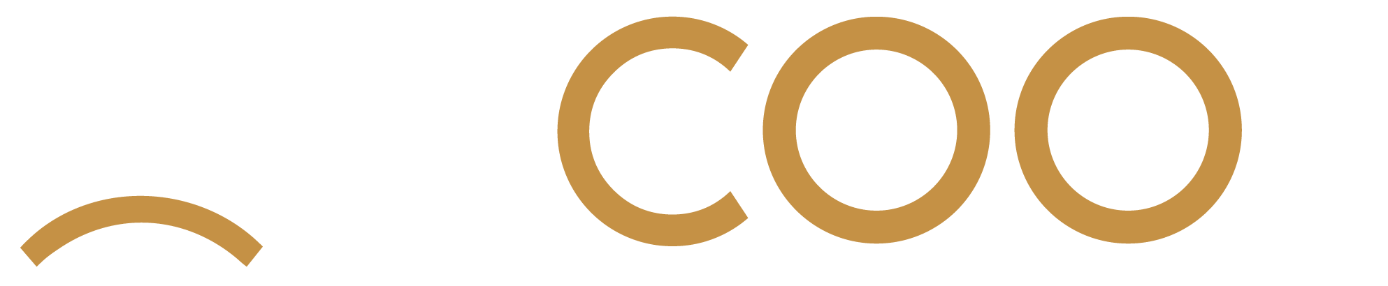 Ancoor Logo
